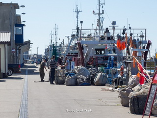 Port Hel