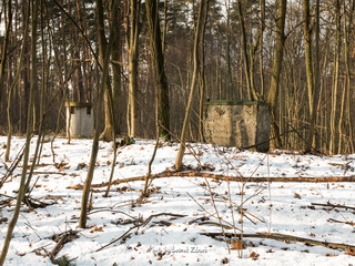 Pałacowa chłodnia w Cieszkowie (Piwnice Sapiechowej)