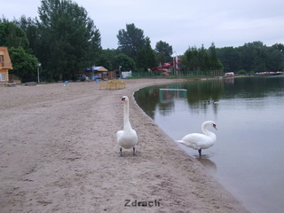 Skorzęcin