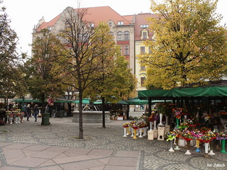 Plac Solny Wrocław Foto Galeria