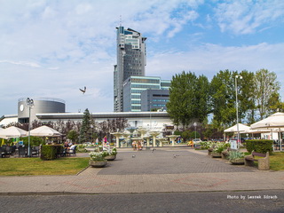 Skwer Kościuszki zdjęcia 2015