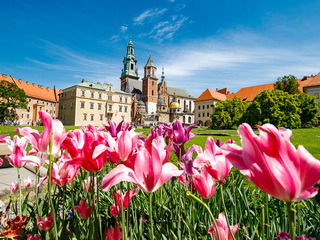Kraków - Królewska Katedra na Wawelu