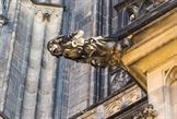 Katedra-sw-Wita-Praga