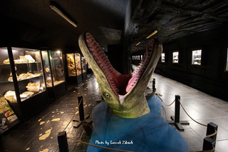 JuraPark -  Park Dinozaurów, Prehistoryczne Oceanarium, Muzeum Dinozaurów - Bałtowski Kompleks Turystyczny