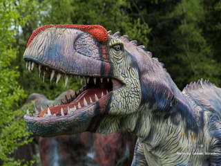 Zdjęcia z Parku Dinozaurów w Karłowie 2015, Foto-Relacja z Parku Dinozaurów w Karłowie 2015