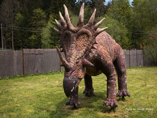 Park Dinozaurów w Karłowie Foto Galeria 2016