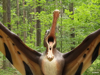 Dinopark - Szklarska Poręba