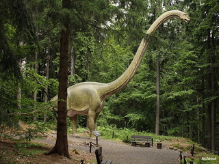 Dinopark - Szklarska Poręba