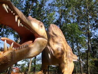 Zaurolandia Muzeum Skamieniałości w Rogowie