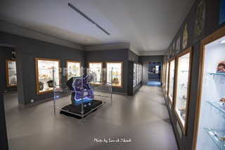 Muzeum Minerałów i Skamieniałości Święta Katarzyna