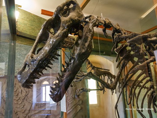Baszta Wolińska i Muzeum Kamieni w Kamieniu Pomorskim