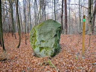 Głaz narzutowy Postolin
