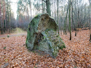 Głaz narzutowy Postolin