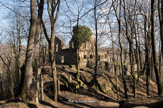 Ruiny Zamku Stary Książ