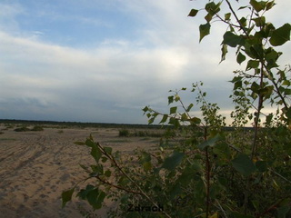 Pustynia Błędowska