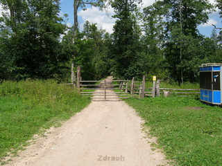 Rezerwat Żubrów w Wolisku