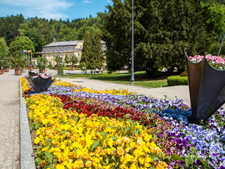 Park Zdrojowy - Kudowa Zdrój Foto Galeria 2016
