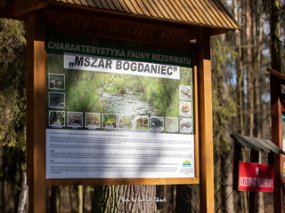 Rezerwat przyrody Mszar Bogdaniec