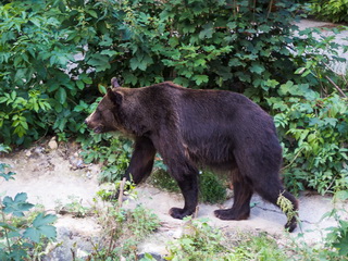 ZOO Park Śląski Chorzów