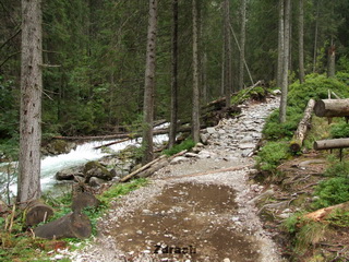 Dolina Roztoki