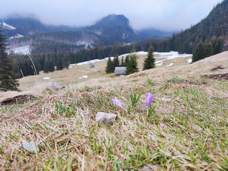 Polana Kalatówki 