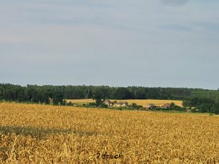Park Krajobrazowy Dolina Baryczy