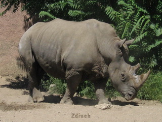 ZOO Wrocław