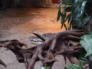 ZOO Wrocław
