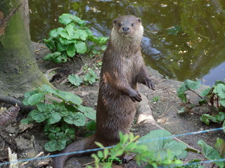 Ogród Zoologiczny w Poznaniu