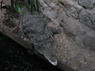 ZOO Wrocław