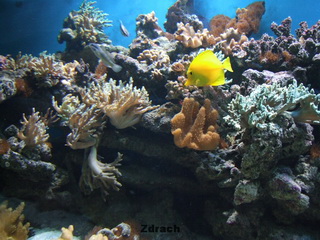 ZOO Wrocław