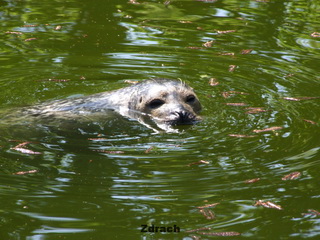 Ogród Zoologiczny w Poznaniu