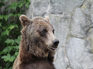 Zoo Wrocław, Ogród Zoologiczny we Wrocławiu