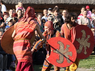 Pokazy Persów Biskupin 2011 Foto Galeria