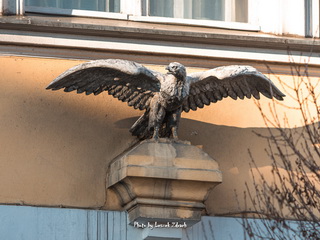 Szczegóły Architektoniczne Krotoszyna 2017