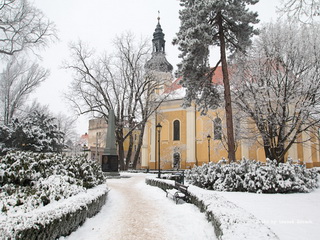 Zimowy Spacer Krotoszyn 2017 foto, szadź