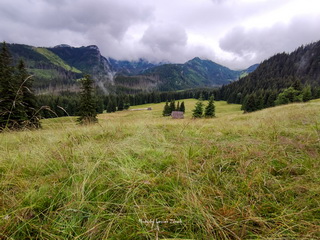 Polana Kalatówki 