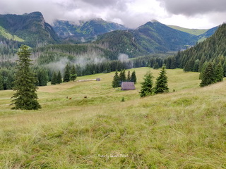 Polana Kalatówki 