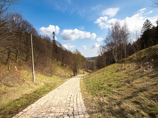 Borowa Góra