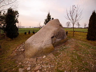 Głaz Narzutowy w Rudzie gmina Dobrzyca