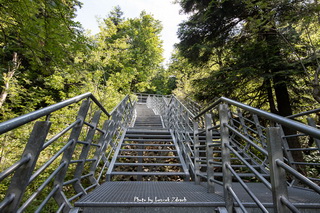 Gołoborze świętokrzyskie - Świętokrzyski Park Narodowy