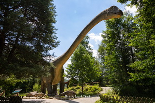 JuraPark -  Park Dinozaurów, Prehistoryczne Oceanarium, Muzeum Dinozaurów - Bałtowski Kompleks Turystyczny