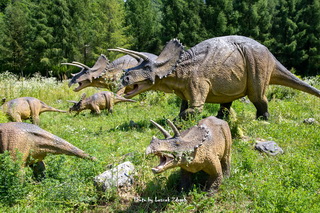 JuraPark -  Park Dinozaurów, Prehistoryczne Oceanarium, Muzeum Dinozaurów - Bałtowski Kompleks Turystyczny