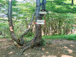 Lackowa - Beskid Niski, Korona Gór Polski