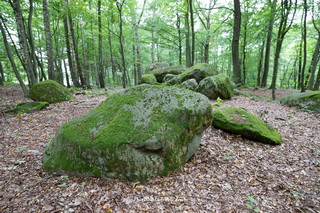 Megality w Borkowie Malechowo