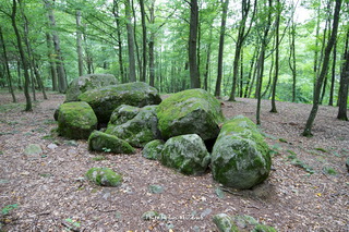 Megality w Borkowie Malechowo