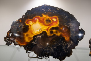 Muzeum Minerałów i Skamieniałości Święta Katarzyna