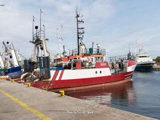 Port Rybacki w Kołobrzegu 