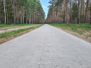 Szwedzki Kamień Gruszeczka foto, Ścieżka Rowerowa Gruszeczka Żmigród