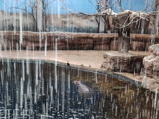 Ogród Zoologiczny we Wrocławiu Afrykanarium Foto Galeria 2012